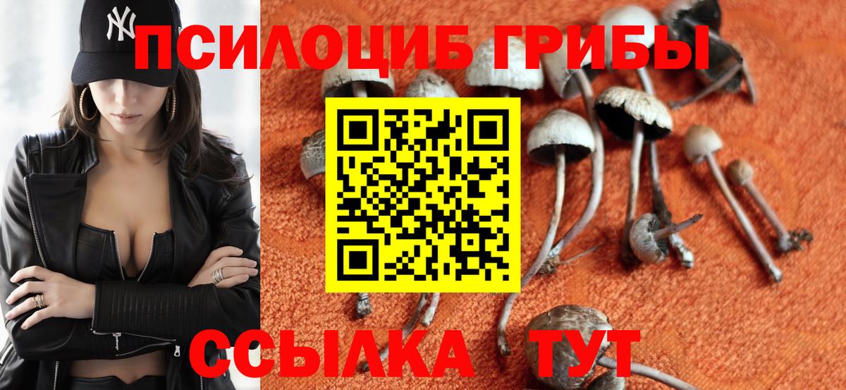 Псилоцибиновые грибы прущие грибы  Вход с VPN  Жигулёвск 